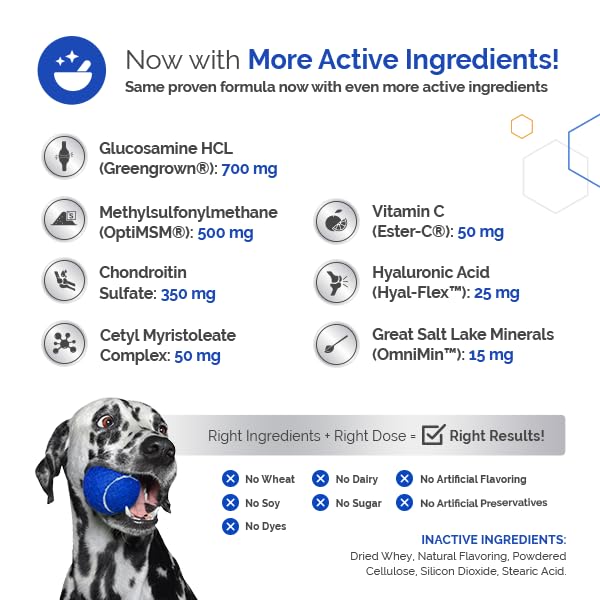 GlycanAid HA Advanced Joint Nutrition for Dogs (60 Chewable Tablets) Made in USA with USA Ingredients: Glucosamine HCL, Chondroitin, Hyaluronic Acid, MSM 60 Count - PawsPlanet Australia