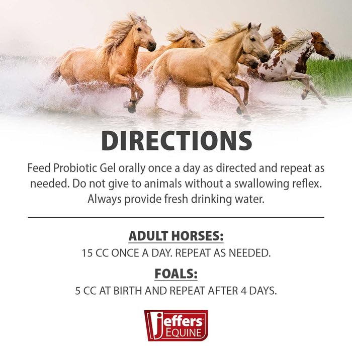 Jeffers Equine Probiotic Oral Gel for Horses, 30 cc Syringe – Supports Healthy Gut, Natural Appetite & Digestion, Horse Supplement w/Prebiotics, Live Microbials (30M CFU), Vitamins A B E, USA Made 1 Pack