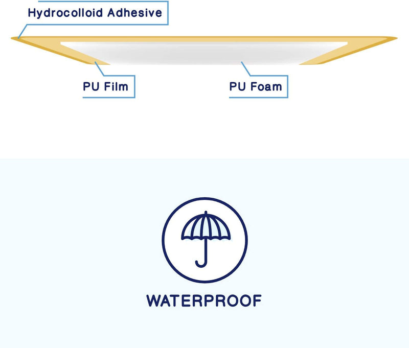 MedVance TM Foam – Bordered Adhesive Hydrophilic Foam Dressing (6x6 Inch) 10 Pack