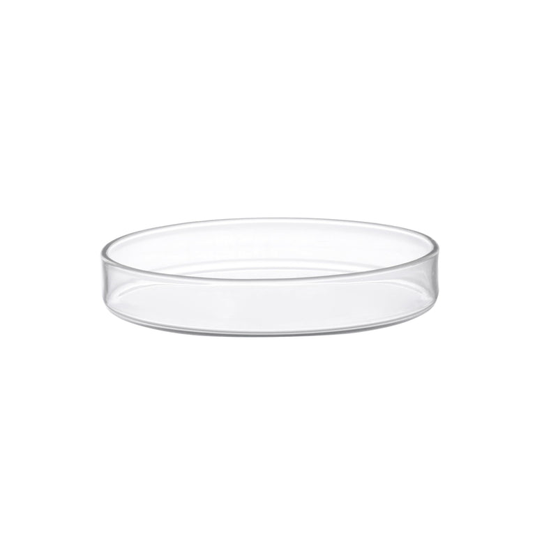 EISCO Petri Dish, 8" (200mm) - Beaded Edges - Easy to Sterilize for Repeated Use - Soda Glass