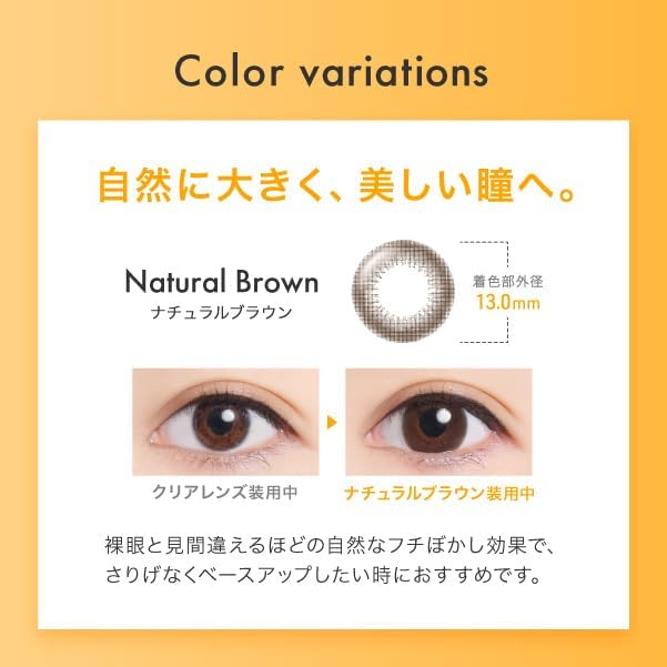 Creo One Day UV Ring 30 Pieces 1 Box Royal Brown (Daily Disposable Contact Lenses) [BC] 8.5 [PRW] -6.50 - NewNest Australia