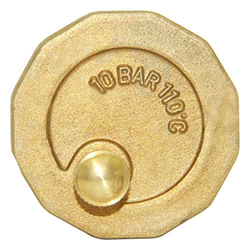 Beduan Brass 10500-VE Automatic Float Valve, 3/8" Male Thread Air Release Valve Air Bleeder Valve Vent Valve