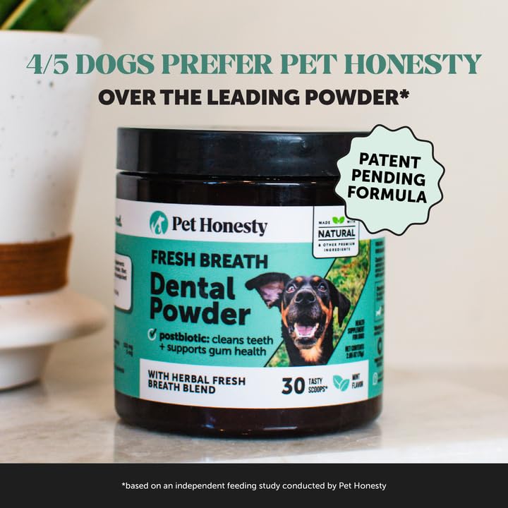 Daily Essentials Virtual Bundle - Probiotics for Dogs + Dental Powder for Teeth Cleaning & Plaque Removal, Gut Health & Immune Support for Dogs