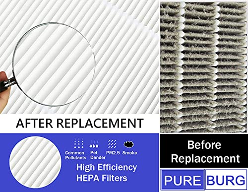 PUREBURG Replacement Filter Compatible with Tredy TD-1300, Tenergy Renair, Cool-Living CL-6070A, BEABA HEPA Air Purifer, H13 HEPA Activated Carbon 2-in-1 2-Pack