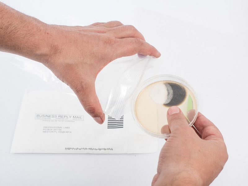 Supreme - DIY Mold Test Kit for Home Air Quality - Air and Surface Mold Testing - Pre-Paid Return Mailer and Expert Mold Consultation - Includes Professional Lab Analysis SP109