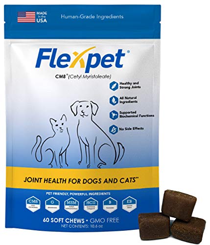 Maximum Strength Soft Chews – All-Natural Pain Reliever for Dogs with Glucosamine and Cetyl Myristoleate (CM8), Hip and Joint Supplement, Anti-Inflammatory: Single Pouch - 60 Soft Chews - PawsPlanet Australia