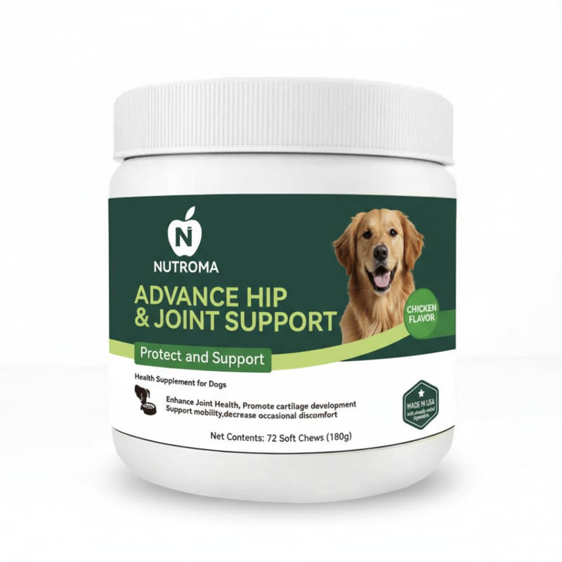 Dog Joint Supplement – Advanced Hip & Joint Support Soft Chews with Glucosamine, Chondroitin, MSM, Omega 3 & Green Lipped Mussels – Chicken Flavor Mobility & Cartilage Health – 72 Count