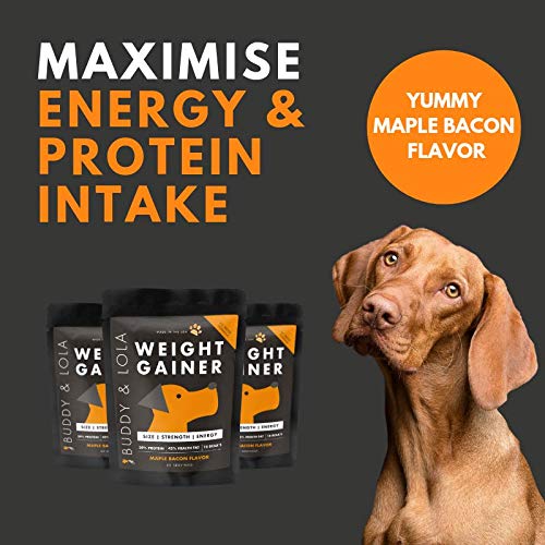 Buddy & Lola Dog Weight Gainer - Dog Supplement for Weight Gain - Dog Protien Powder for Max Muscle Builder, High Calorie Supplement for All Dogs & Breeds inc Bully. Pro Food Topper - Made in The USA - PawsPlanet Australia