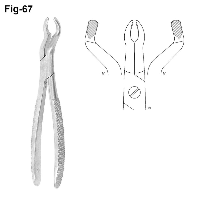 Dental Tooth Extracting Forceps Upper Wisdom D67 Extraction Pliers
