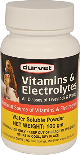 Durvet 698468 Vitamins & Electrolytes for Livestock & Poultry 100G - PawsPlanet Australia