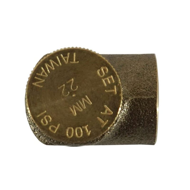 Merrill MFG 3/4" Lead-Free Brass Pressure Relief Valve – 100 PSI Water System Safety Valve, NPT Thread, Durable Corrosion-Resistant Design for Well, Plumbing & Irrigation Systems