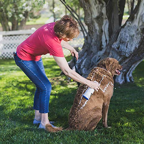 FoamCare Medicated Pet Shampoo by Vetericyn | Sensitive Skin Shampoo for Dogs, Cats, and All Animals - Anti-Itch, Promotes Healthy Skin and Coat - Hypoallergenic – Instant Foam Shampoo – 16-ounce Medicated Shampoo - PawsPlanet Australia