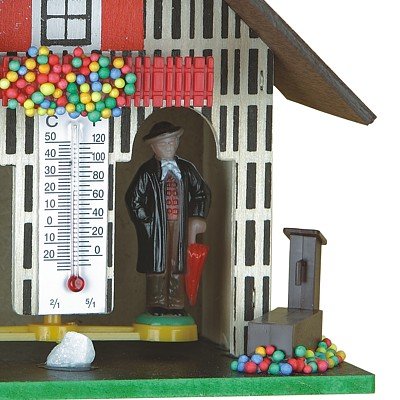 Trenkle German Black Forest Weather House TU 801