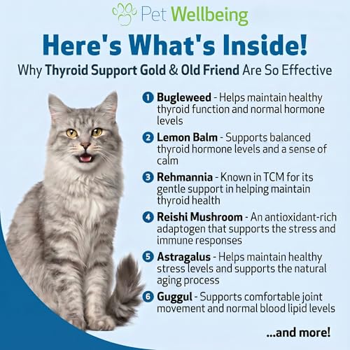 Pet Wellbeing Old Friend & Thyroid Support Gold for Senior Cats - NASC Certified & Vet-Formulated Senior Wellness & Thyroid Balance Bundle, Herbal Liquid Formula, Natural Bacon Flavor, 2 (2oz)