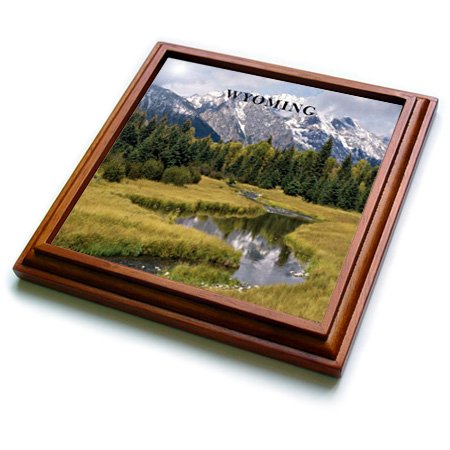 3dRose The Grand Tetons in Wyoming Trivet with Ceramic Tile, 8 by 8", Brown