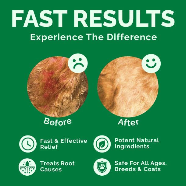 Dog Skin Repair Spray | Fast-Acting No-Touch Spray for Minor Wounds, Scrapes, Abrasions & Sores | Supports Skin & Fur Recovery | Natural Ingredients