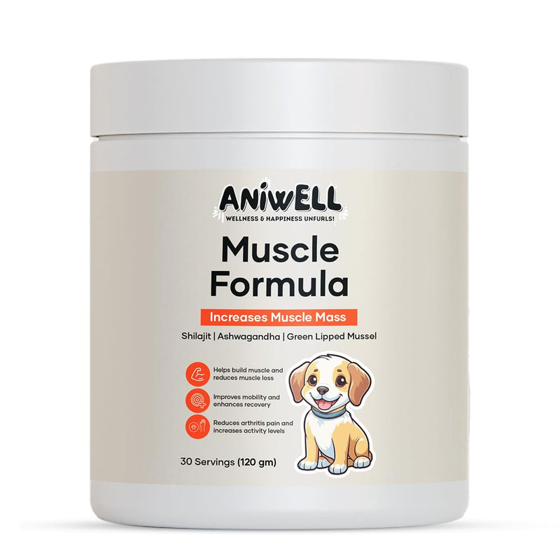 Muscle Formula for Dogs: with Shilajit Ashwagandha and Green Lipped Mussel | Glucosamine Chondroitin Hip and Joint Support | Muscle Strength and Mobility Pack of 1