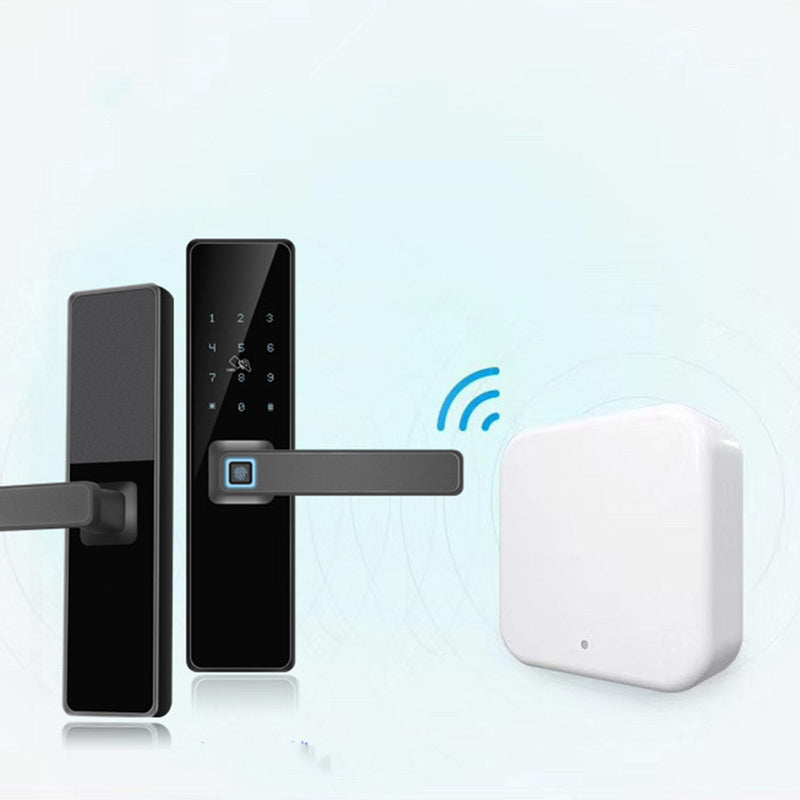 G2 Gateway, Smart Lock WiFiS Gateway, WiFiS Hub Bridge for Smart Lock Controlled by TT Lock Next Lock App,Compatible with Voice Control, Work for 2.4 GHz WiFiS