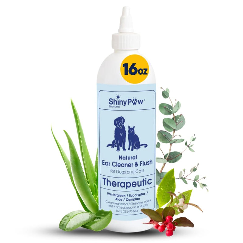 Dog Ear Cleaner Solution for Dogs & Cats 16 oz by Shiny Paw | Wintergreen, Camphor & Aloe – Gentle Ear Flush for Pets Health | Dog Ear Wash | Made in the USA