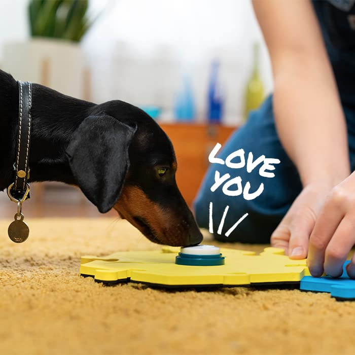 FluentPet Tester Kit - Set of 2 Dog Talking Buttons & HexTiles - Customizable Cat & Dog Training Buttons for Communication - Batteries Included - Pet Buttons Gift Set 2 Buttons + 2 HexTiles (Bold)