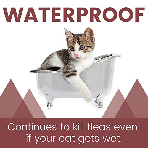 [Australia] - Adventure Plus Triple Flea Protection for Cats, 5-9 lbs, Cat Flea Treatment 4 Dose 