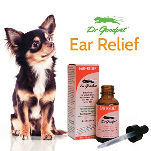 Dr. Goodpet Ear Health Formula for Dogs & Cats | All-Natural Ear Cleanser | Soothes Itches and Cleans Ear Canal | Drops for Irritation & Waxy Buildup | 1 fl oz Bottle w/Dropper