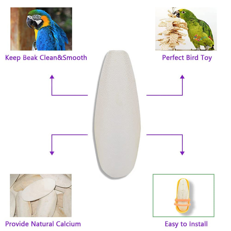 6.29"-7" Large Cuttlebone for Birds, Parakeets Cuddle Bone, Cuttlefish Bone for Sharp Beaks, Natural Calcium for Parrots Tortoise, 4pcs - PawsPlanet Australia