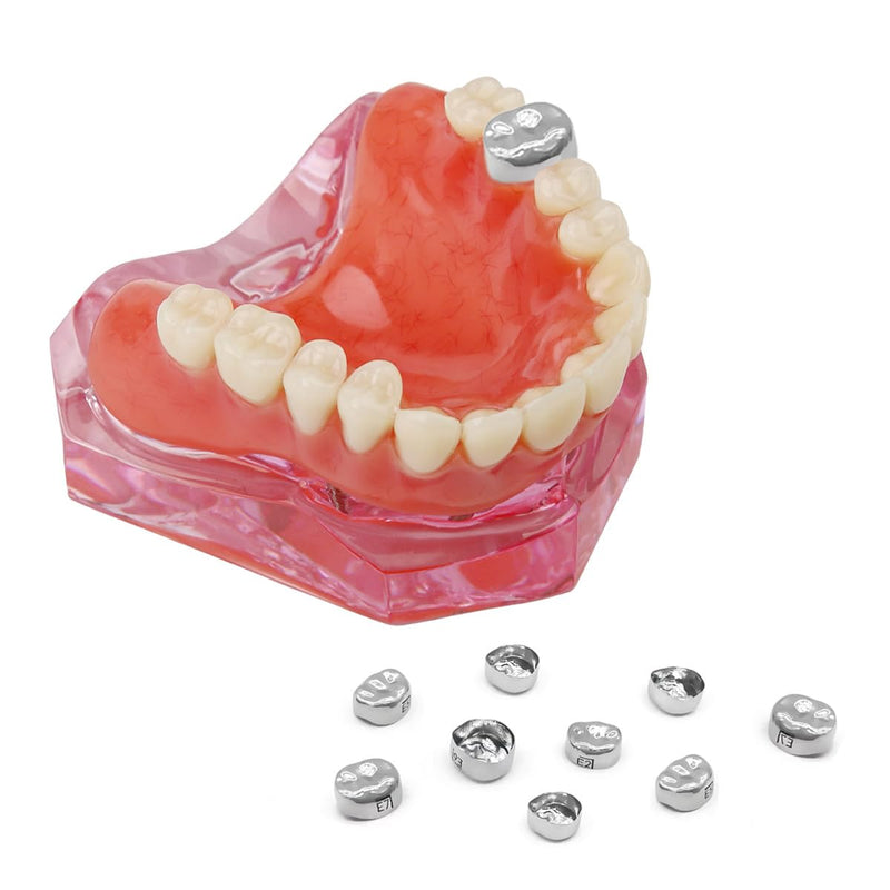 Dental Preformed Temporary Crown Stainless Steel Crown Orthodontic Material | 48pcs/box,Orthodontic Material, Treatment Tools, Consumables,