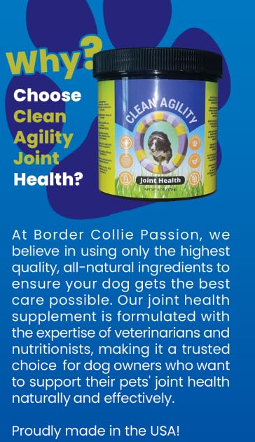 Joint Health for Dogs - The Most Effective Hip and Joint Supplement Available - Formulated with Veterinarians, Glucosamine, Chondrointin, MSM, Turmeric (Soft Chew) Soft Chew - PawsPlanet Australia