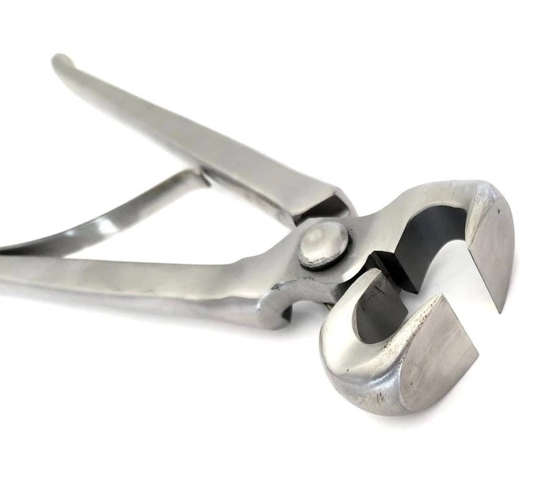 12″ Spring-Loaded Hoof Nipper with Carrying Case – Ergonomic Farrier Tools & Horse Hoof Trimmer, Heavy-Duty Chrome Vanadium Steel, Professional Equine Grooming (Foals, Ponies, Donkeys)