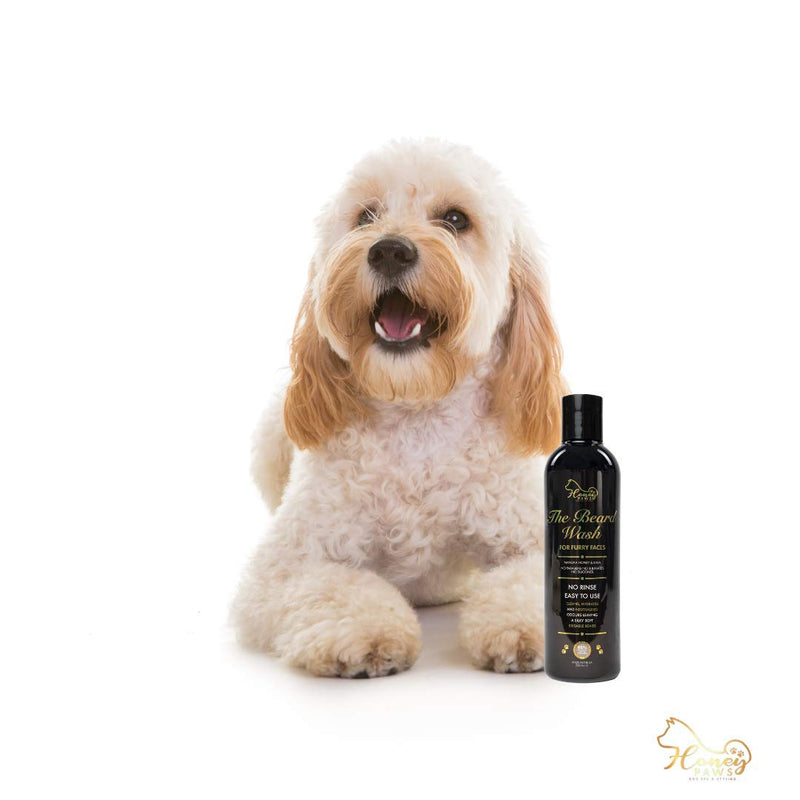 Honey Paws Dog Spa and Styling The Beard Wash for Furry Faces - PawsPlanet Australia