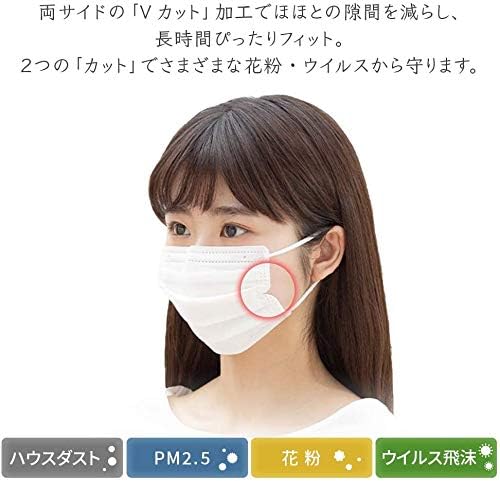 Iris Ohyama 20PN-120PM Masks, 120 Pieces, Disposable, Pleated Masks, Non-woven, Normal Size - NewNest Australia