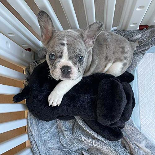 SmartPetLove Snuggle Puppy - Extra Heat Pack Bundle - Comes with Snuggle Puppy and Extra 12-Pack of Heat Packs for Pets - PawsPlanet Australia