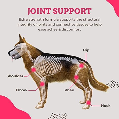 Paws & Pals Glucosamine Chondroitin MSM for dogs 240 Count, Hip and Joint Mobility Soft Chews Supplement, Pain & Inflammation Relief for all breeds - Maximum Strength, Treats Hip Dysplasia & Arthritis Chicken