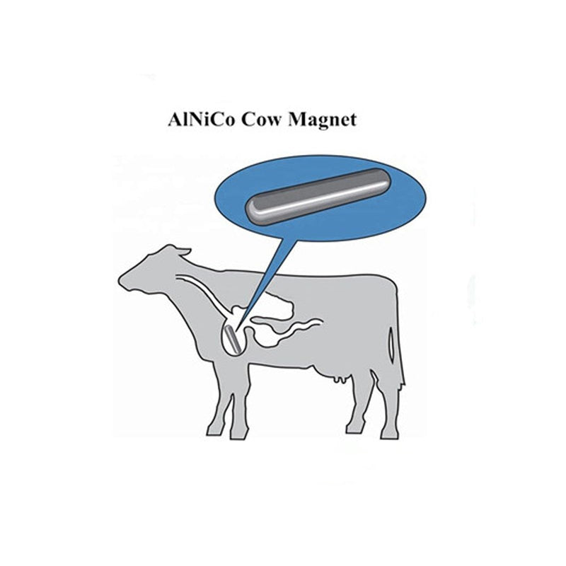 AlNiCo5 Cow Magnets, Cow Magnet 1/2" Diameter x 3.00" Length - 5Pack,Silver Heavy Duty Cylinder Magnet,Magnetic Metal Picker,Magnetic Stud Finder,Corrosion-Resistant and Water-Proof.