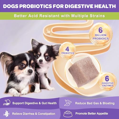 Dog Vitamins Powder with Probiotics for Dogs
