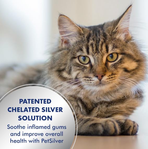 PetSilver Teeth & Gum Spray, Patented Chelated Silver, Natural Dog Breath Freshener, Cat and Dog Dental Cleaning without Brushing, Targets Tartar and Plaque, Dog Dental Spray, Made in USA, 4 oz. 1 Count (Pack of 1) - PawsPlanet Australia