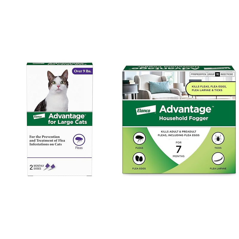 Bundle of Advantage Topical Flea Treatment and Prevention for Large Cats Over 9 lbs. + Advantage Household Flea Fogger for Home | 2 oz. Canisters (Pack of 3) Large Cat + Fogger