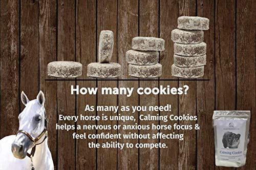 Premier Performance CZ Calming Cookies - 10 x Mint - PawsPlanet Australia