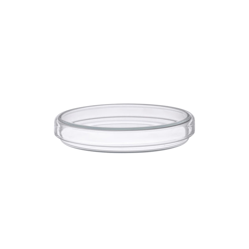 EISCO Petri Dish, 8" (200mm) - Beaded Edges - Easy to Sterilize for Repeated Use - Soda Glass