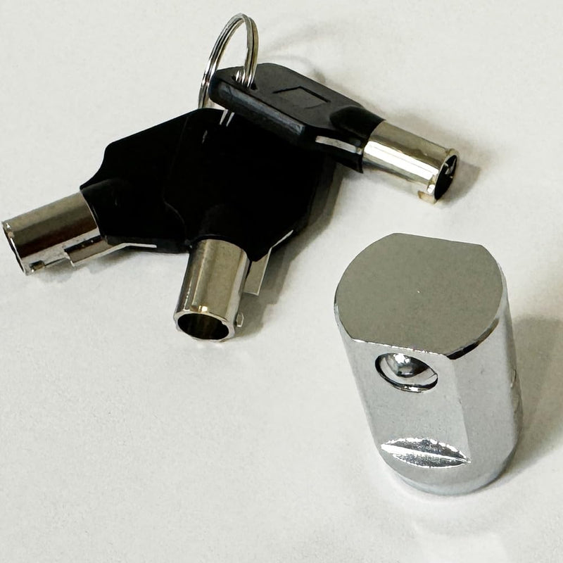 RiKey Security - Storage Cylinder Lock with 3 Tubular Keys for Roll-up Door Unit Secure 19mm 1