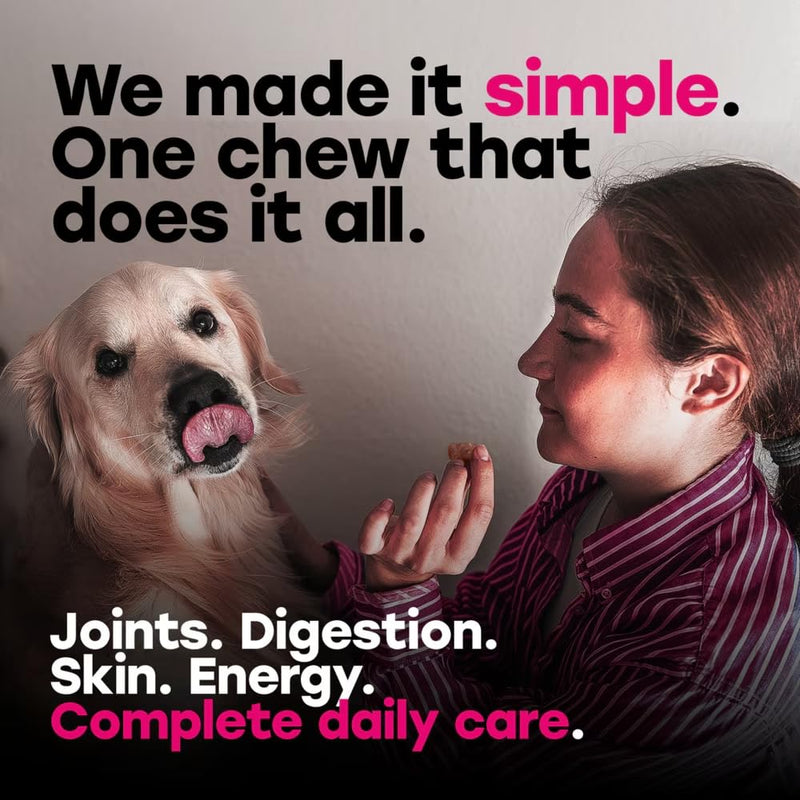 24-in-1 Dog Multivitamin Chews – Dog Vitamins and Supplements with Glucosamine, Chondroitin, Probiotics, Salmon Oil, Biotin – Daily Mobility, Digestion, Skin and Coat Support, Beef Flavor Multivitamin - Beef 1 Pack