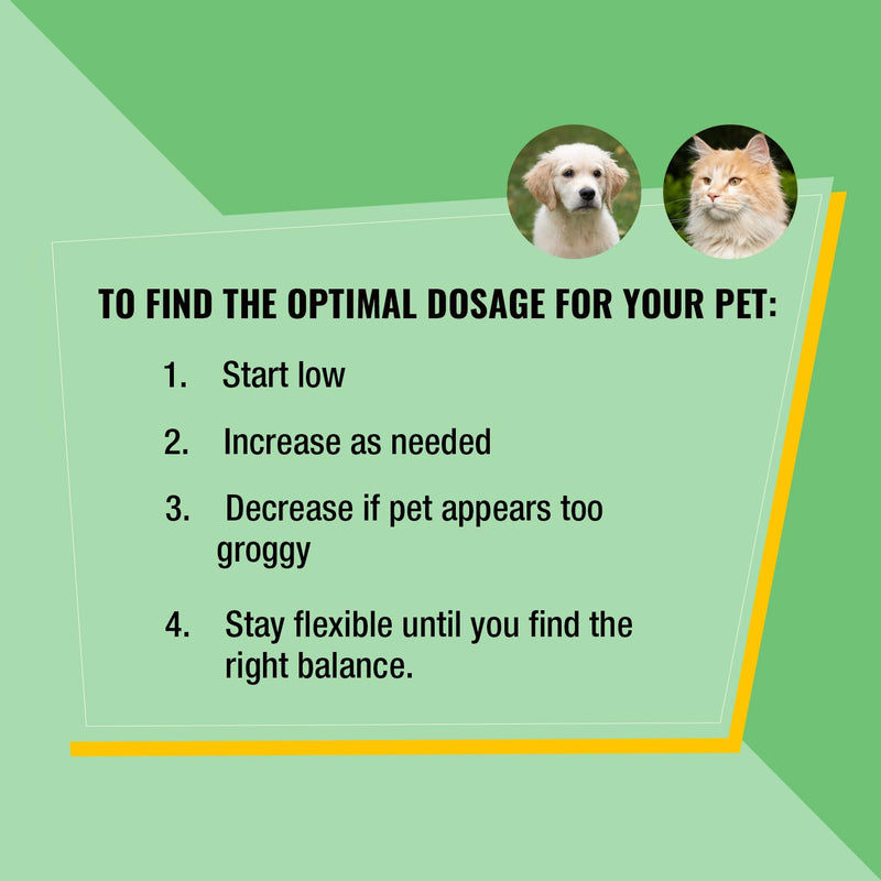 Pet Hemp Oil | Catnip Oil | Dogs and Catsl | Aids with Anxiety, Stress, Pain, Hip, Joint, and Muscle Support for Young to Senior Pets | 120MG Organic Hemp | 100% Natural | Green Planet Hemp