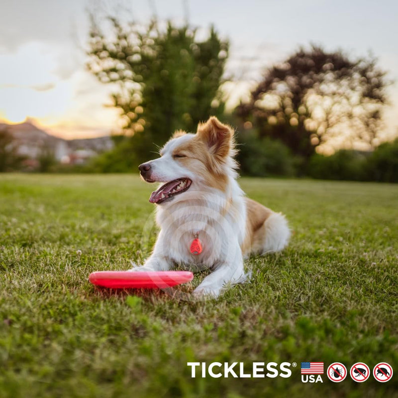 Tickless Pet Ultrasonic Anti Tick Bite and Flea Spread Device Black | Fragrance-Free Protection for Cats and Dogs Lasts 6 Months | On Collar and Harness