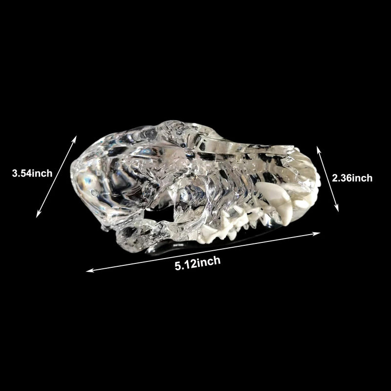 Transparent Canine Dog Cat Rabbit Teeth Skull Anatomical Model Dental Animals Oral Tooth Jaw For Veterinary Office Teaching Decoration Demonstrate (Dog Skull) Dog Skull
