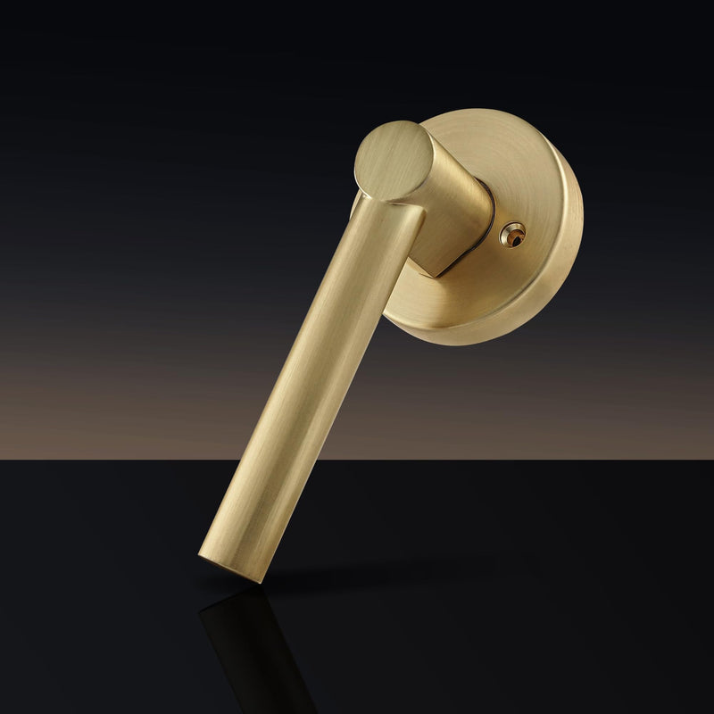 Leydebong 2 Pack Gold Dummy Door Handles, Non-Turning Interior Door Levers, Heavy Duty Reversible Indoor Handles for Closet Pantry
