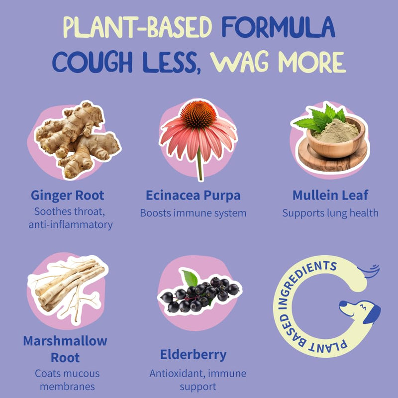 Dog Cough Treatment - Kennel Cough Treatment for Dogs - Gentle Dog Congestion Relief - Kennel Cough Treatment at Home - Natural Dog Cough Suppressant - Liquid Dog Cough Relief Bacon - PawsPlanet Australia