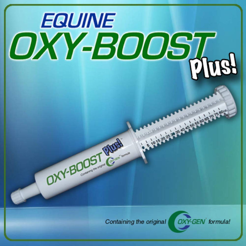 Oxy-Gen Oxy-Boost Probiotic Electrolyte Paste for Horses | Contains Vitamin E, Omega 3, Omega 6 and Octacosanol For Enhanced Performance | 80cc Paste (4 Doses)| Made in USA