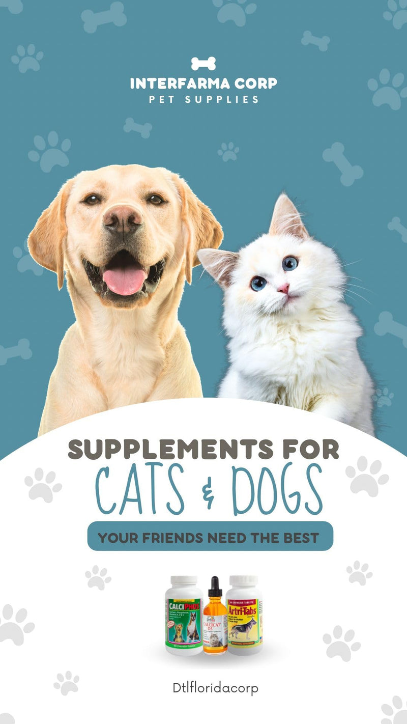 Calcicat D3 Dietary Supplement by Interfarma Corp | Healthy Bones in Cats, & Joint Support Supplement for Cats | with Calcio, Vitamin D3, & Magnesium sulfate | Orange Flavor, Pediatric Drop. Single