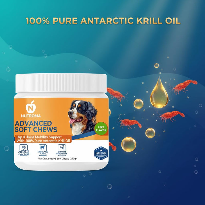 Advanced Soft Chews for Dogs – Hip & Joint Mobility Support with Antarctic Krill Oil, Eggshell Membrane & Hyaluronic Acid – 96 Chews (Beef) Beef